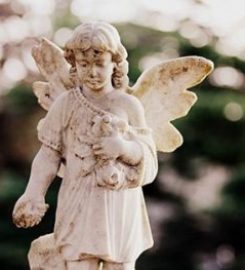 Eternal Life Bereavement Services